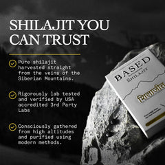 Close-up of a single Based Shilajit tablet
