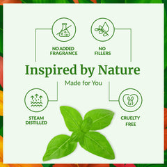Hair care: basil essential oil for scalp massage