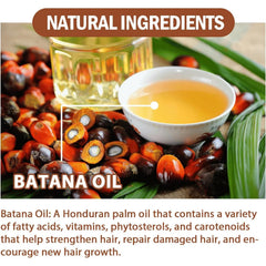Batana Oil nourishes hair as part of a daily routine.