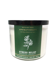 Bath & Body Works Aromatherapy Eucalyptus Spearmint 3-Wick Candle - front view