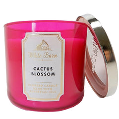 Close-up of three wicks and wax in Cactus Blossom candle