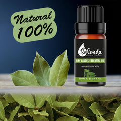 Close-up of steam-distilled Bay Leaf Essential Oil