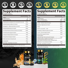 Shilajit 12-in-1 formula detail