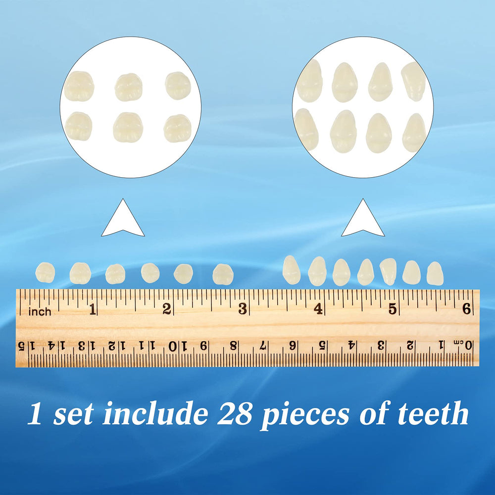 Denture teeth stored on a fitted acrylic background board