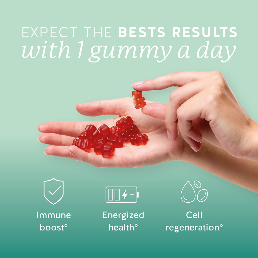 Pack shot showing Bears with Benefits Immune Support Gummies bottle