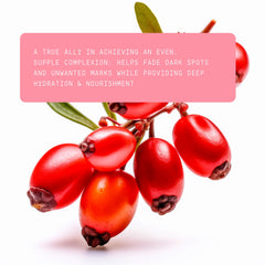 Ingredients list emphasizes purity and natural sourcing of Beauts Rosehip Seed Oil.