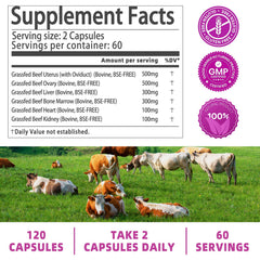 Two capsules of beef organ supplement for women