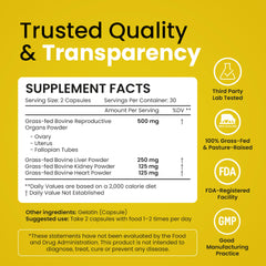 Beef organ supplement capsules on white background