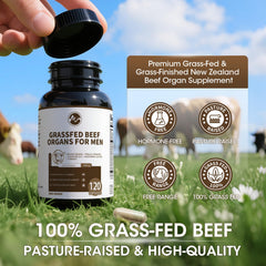 Beef pancreas capsule with digestive enzymes