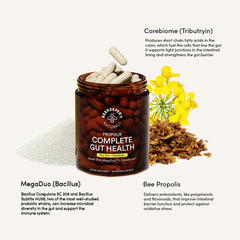 Beekeeper's Naturals Complete Gut Health lifestyle shot with healthy foods