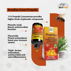Green propolis tincture with high Artepillin-C content