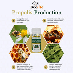 Beelife Green Propolis Capsules with natural ingredients