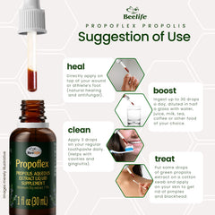 Green Propolis extract liquid close-up highlighting Artepillin-C