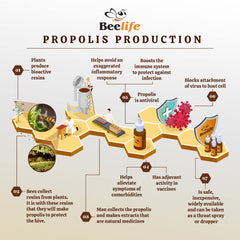 Beelife Propoflex product bottle and Brazilian origin imagery