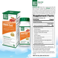 Concept of healthy skin and energy with Bell Stem Cell Supplements