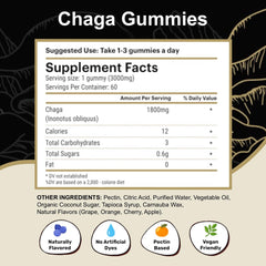 Chaga mushrooms and antioxidants illustration