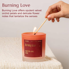 Velvet orchid fragrance filling a romantic room