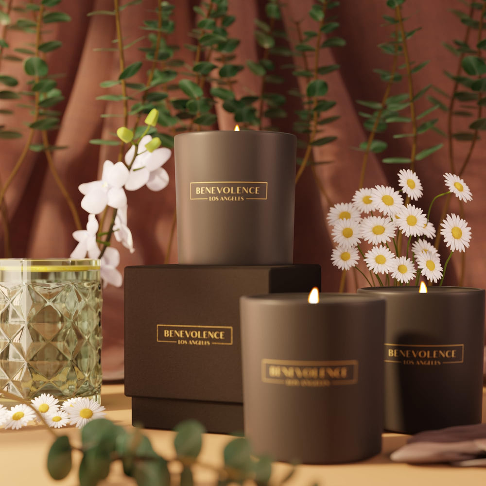 Warm glow of Benevolence LA candle burning in a dim room
