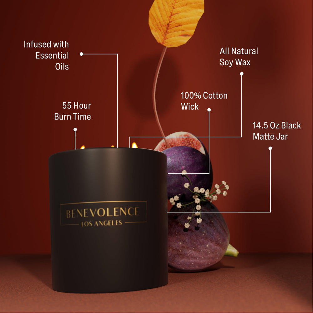 Benevolence LA Fig Tree Candle in a dark jar for holiday ambiance