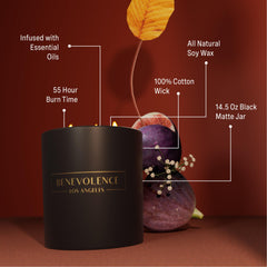 Benevolence LA Fig Tree Candle in a dark jar for holiday ambiance