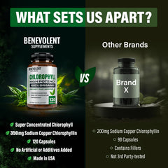 Immune support benefits icon for Benevolent Chlorophyll Capsules