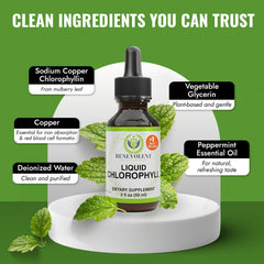 Graphic indicating detox and internal deodorizer benefits