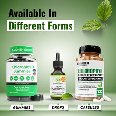 Chlorophyll supplement used for skin health support