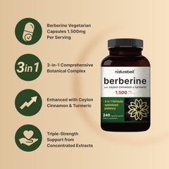 Berberine HCL 1500mg, cinnamon and turmeric ingredients