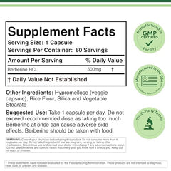 Close-up of Berberine 500mg capsules