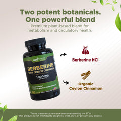 Berberine with Ceylon Cinnamon bottle with ingredients