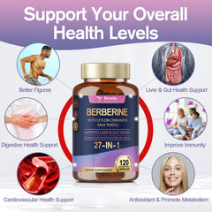 Immune support and digestion illustration