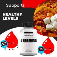 Micronized berberine capsules for high absorption