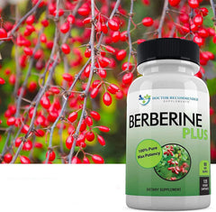 Berberine HCl 1200mg ingredients and benefits