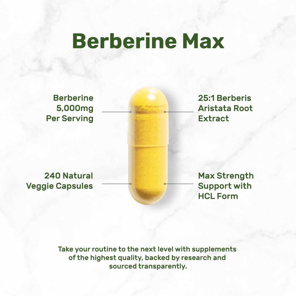Illustration highlighting a 5,000mg proprietary blend with turmeric and berberine extracts