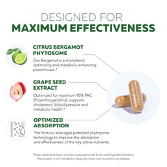 Bergamot Polyphenolic Fraction BPF concept
