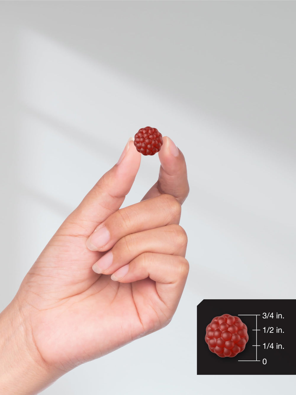 Berkshire Labs elderberry gummies packaging and branding