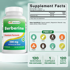 Berberine 500mg capsule close-up