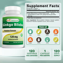 Ginkgo Biloba 120 mg capsules bottle label close-up