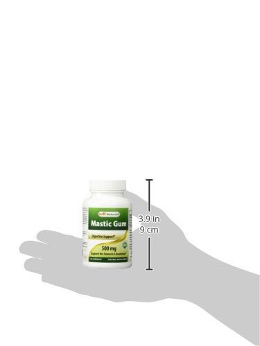Graphic showing digestive and oral health benefits of Mastic Gum