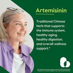 Close-up view of Artemisinin 500mg capsules