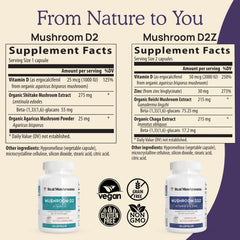 Beta-glucans content from reishi and chaga mushrooms shown as third-party verified