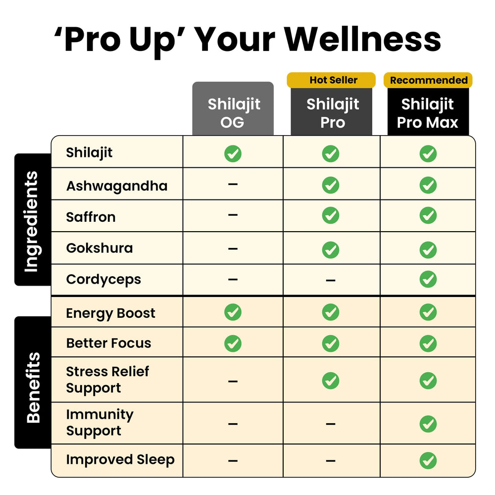 Concept of energy and immune support from Shilajit resin