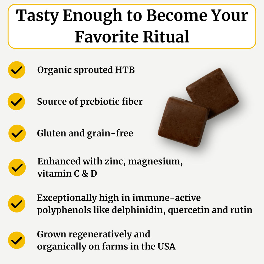 BIG BOLD HEALTH HTB Chocolate Chews close-up showing rich cocoa flavor and chewy texture.