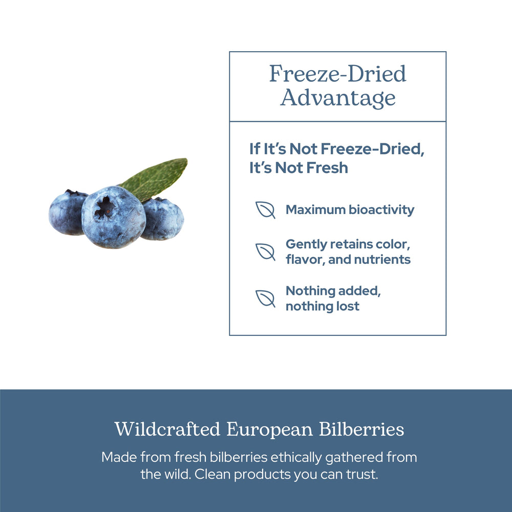 Circulation health concept with bilberry imagery