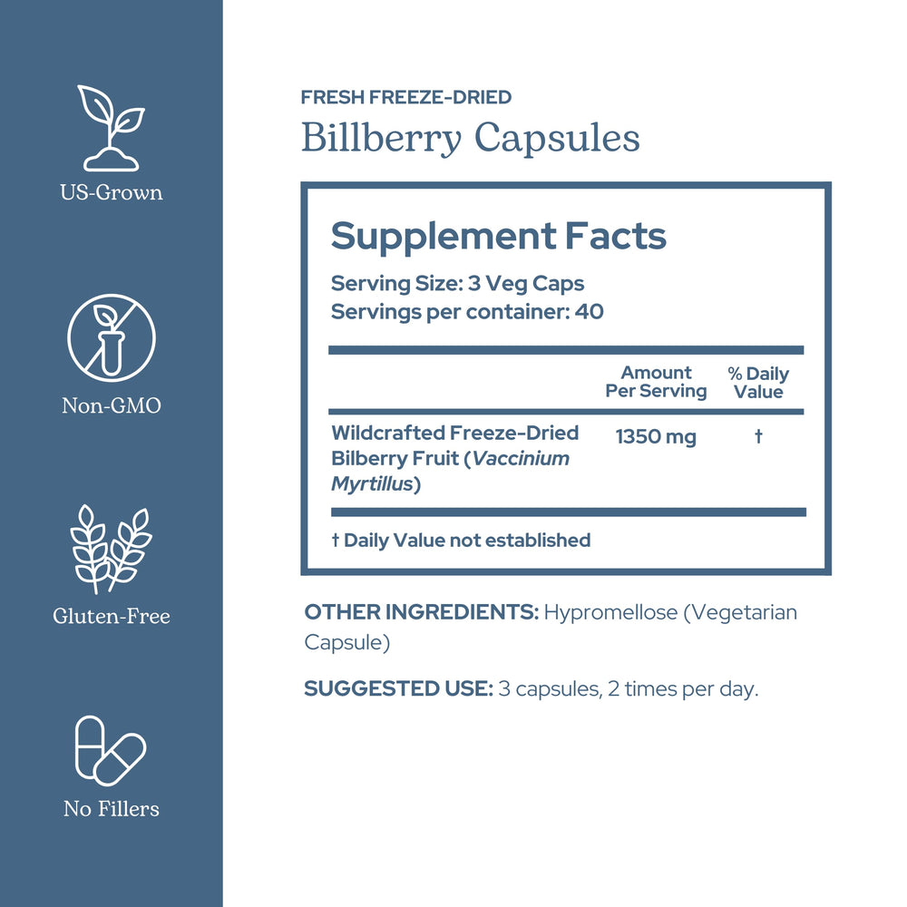 Wildcrafted bilberry fruit freeze-dried raw