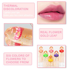BINGBRUSH six piece lip color set provides long lasting moisture.