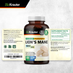 Brain health imagery featuring Lions Mane