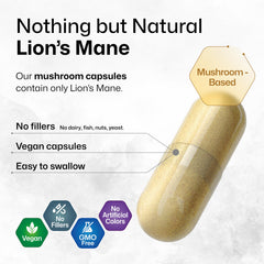 Pack of two BIO KRAUTER Lions Mane bottles