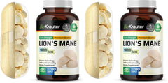 Lions Mane supplement hero image