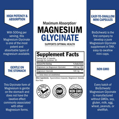 Ingredient panel of BioSchwartz Magnesium Glycinate 500mg